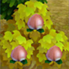 melocotones frutas Animal Crossing New Leaf